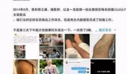 娱乐圈车祸爆料,惊心动魄的瞬间与幕后真相