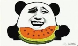 娱乐吃瓜菌感动,见证娱乐圈感动瞬间