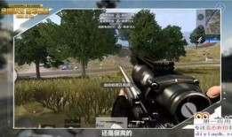 最新枪械爆料大全图片,尖端科技与战术革新一览