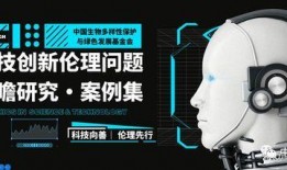 62伦理在线观看,深度解析伦理议题的精彩盛宴