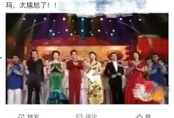 爆料春节晚会视频,独家视频带你领略精彩瞬间