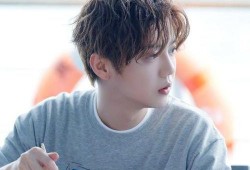 娱乐猛爆料成毅是真的吗