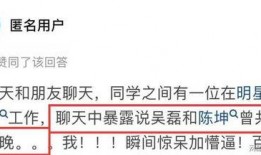 匿名爆料吴磊视频,匿名爆料引发网友热议