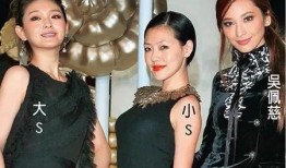 娱乐圈爆料大s,揭秘明星背后的故事