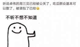 卓伟爆料博主视频大全,揭秘博主视频背后的真相与内幕