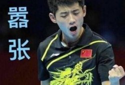 资深爆料张继科事件视频,资深爆料视频深度解析