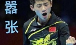 资深爆料张继科事件视频,资深爆料视频深度解析