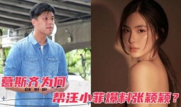 狗仔葛斯齐爆料李玟视频,引发网友热议