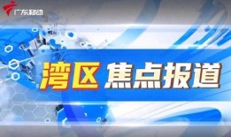 广东卫视新闻爆料节目,新闻爆料节目深度剖析