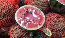 上海免费吃瓜,免费吃瓜活动来袭，清凉一夏尽享瓜果盛宴