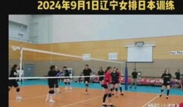 辽宁女排爆料最新消息,揭秘备战新赛季的备战秘籍与备战情况