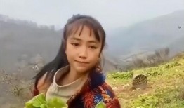灵儿被爆料视频大全集免费观看,免费观看，揭秘幕后真相