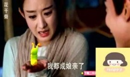 英小乐爆料视频,精彩瞬间与幕后故事
