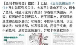 如何爆料社会新闻案例,案例解析与启示
