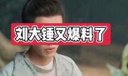 刘大锤今日爆料的是谁,揭秘神秘人物身份大揭秘！