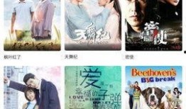 雀不飞爆料视频,揭秘视频背后的惊人真相