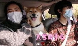 网红狗哥爆料吃瓜事件是真的吗,真相揭秘还是无端炒作？