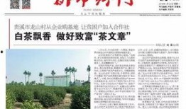 江西最新爆料新闻报道大全,聚焦民生热点，解码社会现象