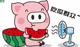 豚豚娱乐吃瓜小八卦,揭秘娱乐圈吃瓜小八卦背后的真相