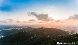 红旗银行最新爆料电话号,揭秘神秘电话号码背后的秘密！”