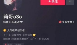 在哪吃抖音网红瓜,揭秘热门美食背后的故事