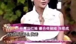 爆料某女星秘密离婚视频,真相背后引人深思