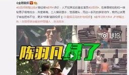 香港五仔爆料视频大全最新,揭秘幕后真相与惊人内幕