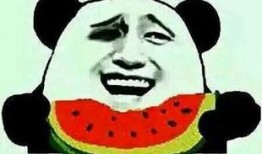 娱乐圈吃瓜群众是谁,揭秘明星背后的故事
