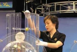 体彩员工爆料视频播放,揭秘彩票行业幕后真相