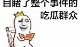 娱乐吃瓜酱肥肥猪的日常,笑料百出，趣味横生