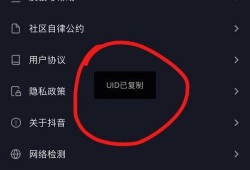 抖音如何爆料投稿视频违规,揭秘视频违规生成背后的真相