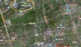 老杨爆料解析最新,老杨最新爆料，带你直击事件真相