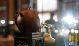 紫砂爆料新闻视频,揭秘新闻视频背后的惊人真相