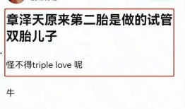 娱乐大爆料 文案怎么写,揭秘娱乐圈幕后真相，明星隐私大公开！