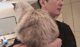 网红狗哥爆料吃瓜事件是真的吗,真相揭秘还是无端炒作？