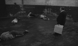 人体蜈蚣在线观看完整,惊悚悬疑，揭秘人体极限的恐怖实验