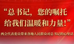 潍坊新闻爆料入口官网,实时掌握潍坊最新动态