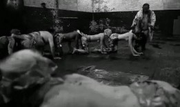 人体蜈蚣在线观看完整,惊悚悬疑，揭秘人体极限的恐怖实验