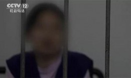 泰国华裔爆料事件始末视频,真相与争议的交织