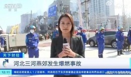 央视记者被爆料了吗视频,揭秘事件背后真相