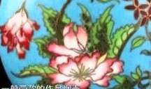 泪壶在线观看,情感泪水的秘密之旅