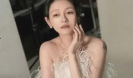 大s最新爆料辟谣,揭秘真实事件背后的真相