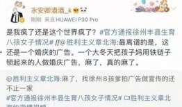 丰县八孩爆料最新信息,真相与反思交织