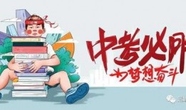 诗羽娱乐爆料最新消息,最新热点事件深度解析