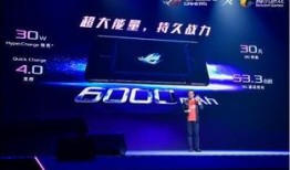 r og游戏版最新爆料,神秘新角色与颠覆性玩法即将揭晓！