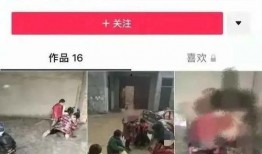 丰县八孩爆料最新信息,真相与反思交织