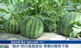 上海免费吃瓜,免费吃瓜活动来袭，清凉一夏尽享瓜果盛宴
