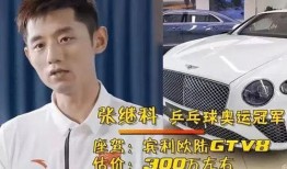 资深爆料张继科事件视频,资深爆料视频深度解析