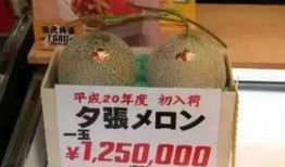 娱乐号吃瓜,吃瓜群众背后的故事