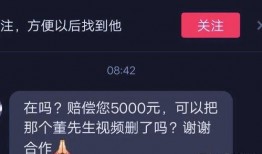 古董商精华爆料视频网站,探寻古董界的神秘世界
